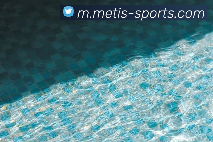 球赛投注平台生态图